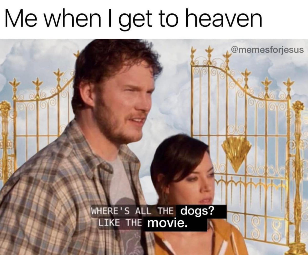 😂