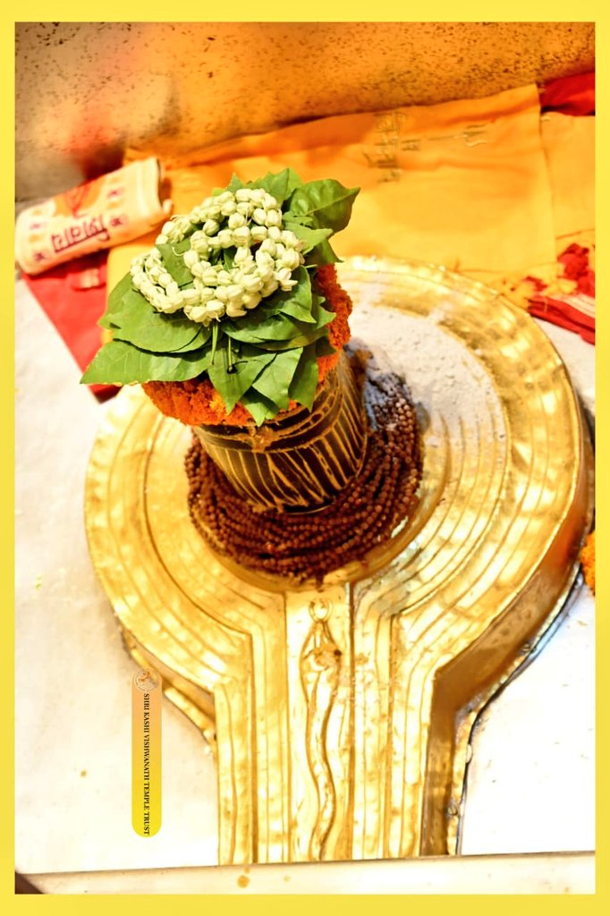 आने वाला महीना कितना पावन होगा

महादेव का साथ और साथ में सावन होगा...!!

बाबा विश्वनाथ जी का आज प्रातः कालीन मंगला आरती श्रृंगार दर्शन 🙏🏻 🚩 

सांब सदाशिव 🙏🏻❣️