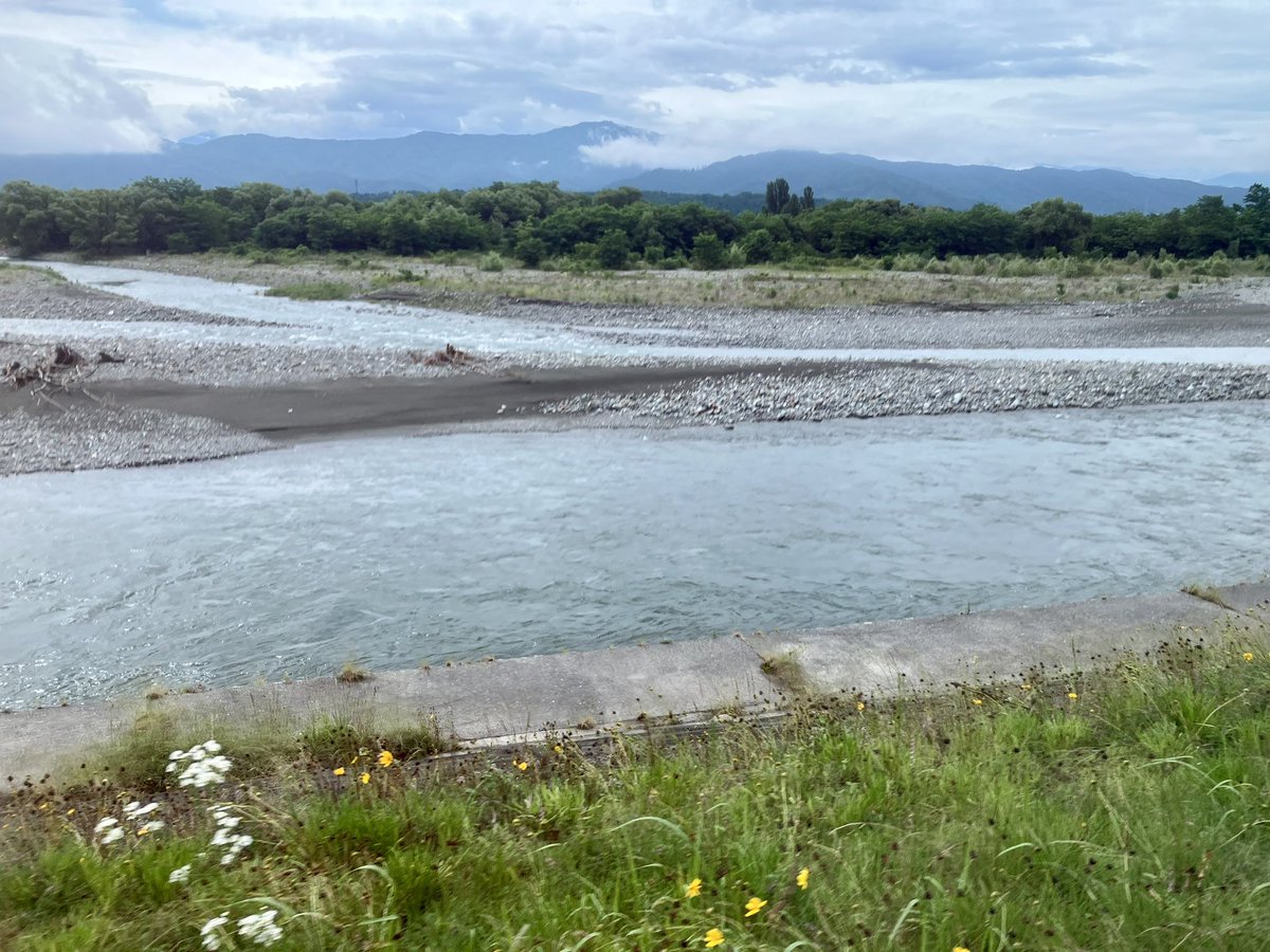 長野県伊那市から、おはようございます。
天竜川とその支流の三峰川（みぶがわ）。

「日本で最も美しい村」連合の定期総会に向かっています。