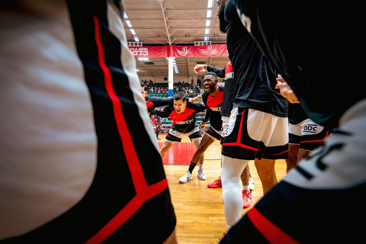 Por otra noche con esa energía, Zonkeys🦓