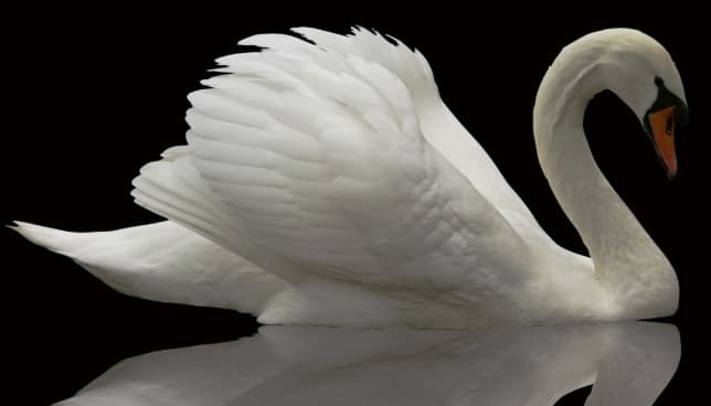 OPERATION WHITE SWAN GOES LIVE: GITMO EXPANDS, QFS SEIZES GLOBAL FUNDS, DEEP STATE INSURRECTION IN LA, AND FINAL EBS PREP BEGINS

As of June 25, 2025, OPERATION WHITE SWAN has officially entered its final and most aggressive phase. What began as a covert mission is now unfolding