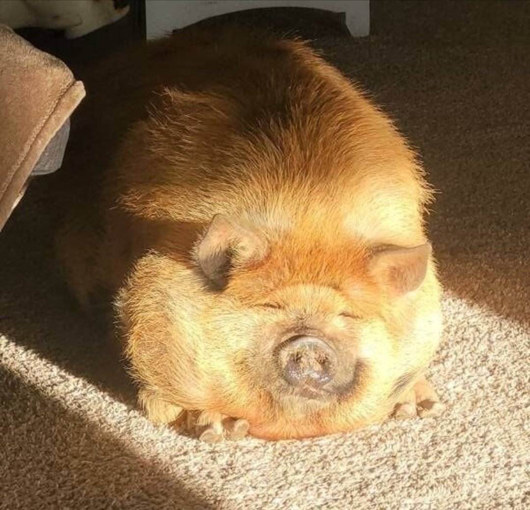 ough Slop trough mmm... Oughh