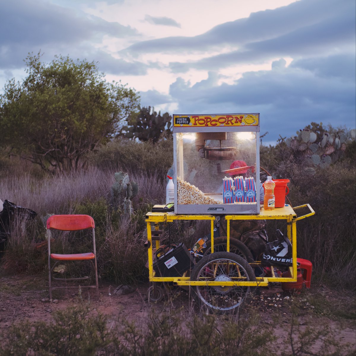 "Fresh Popped"🍿
Available on <a href="/3dotland/">3.land</a> 👇