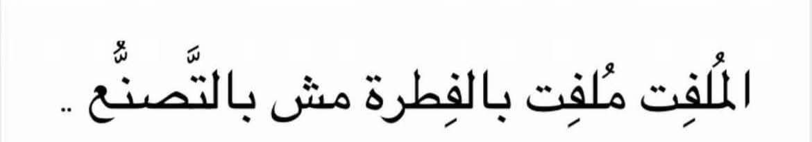 Sнiмαα🦋 (@shimaaahmed1311) on Twitter photo 