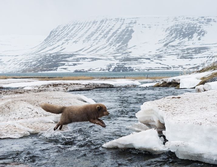 "For fire and warmth, which are supposed to be the parent and guardian of all other things, are born of movement..."