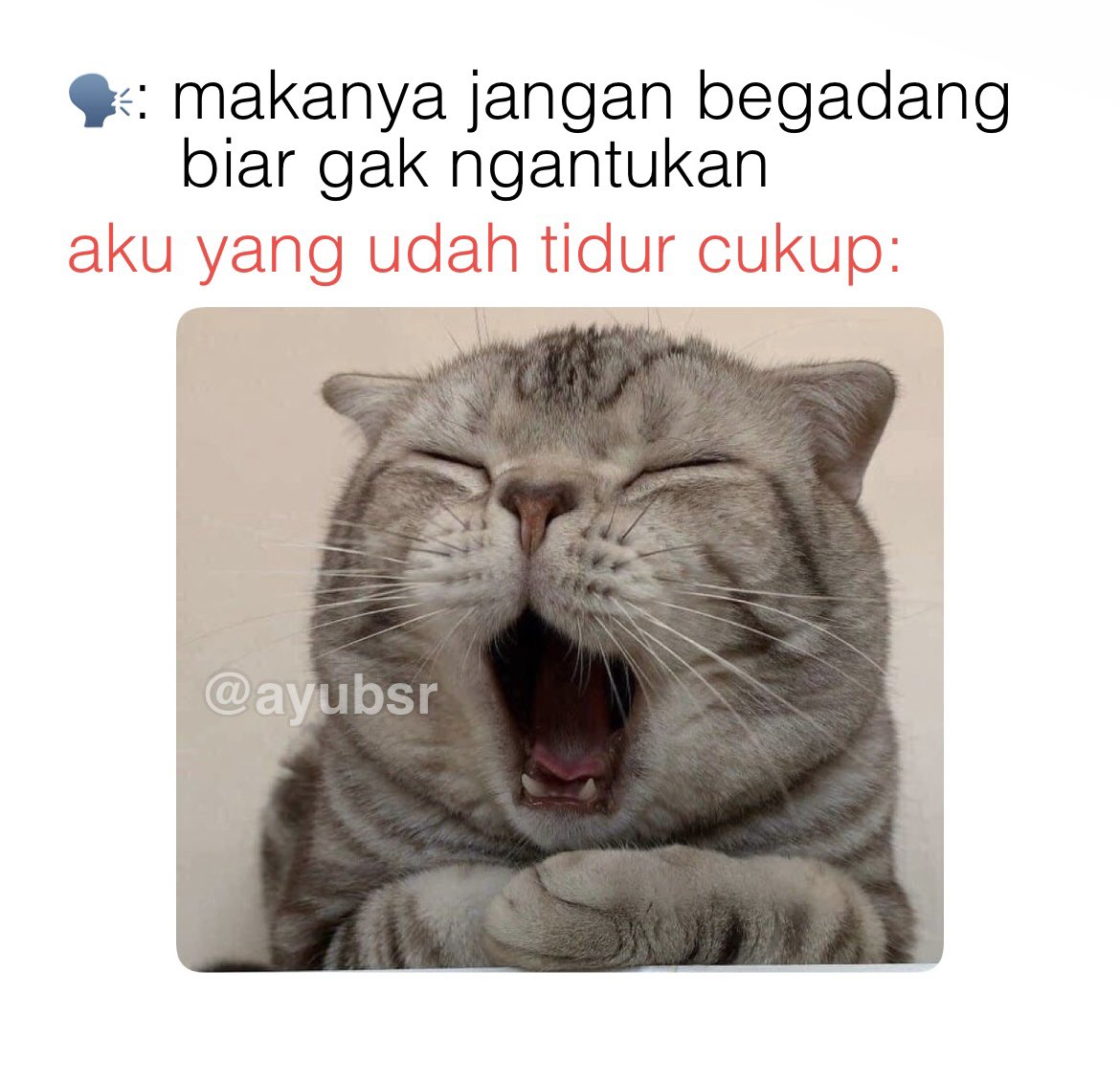 ayubsr's tweet photo. Tetep aja ngantuk https://t.co/yOTSvtNCKY