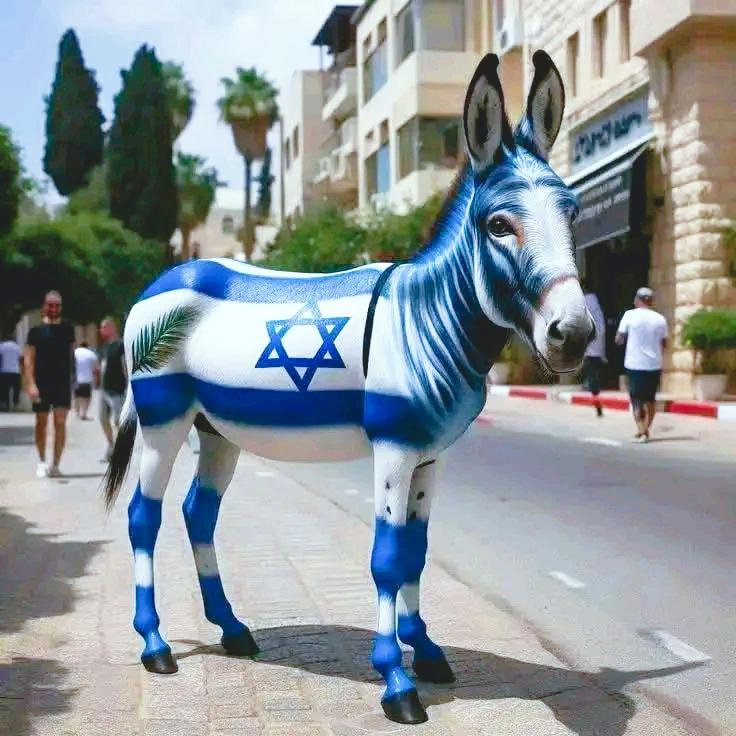 ضيفوا وصف للصوره👇🏻