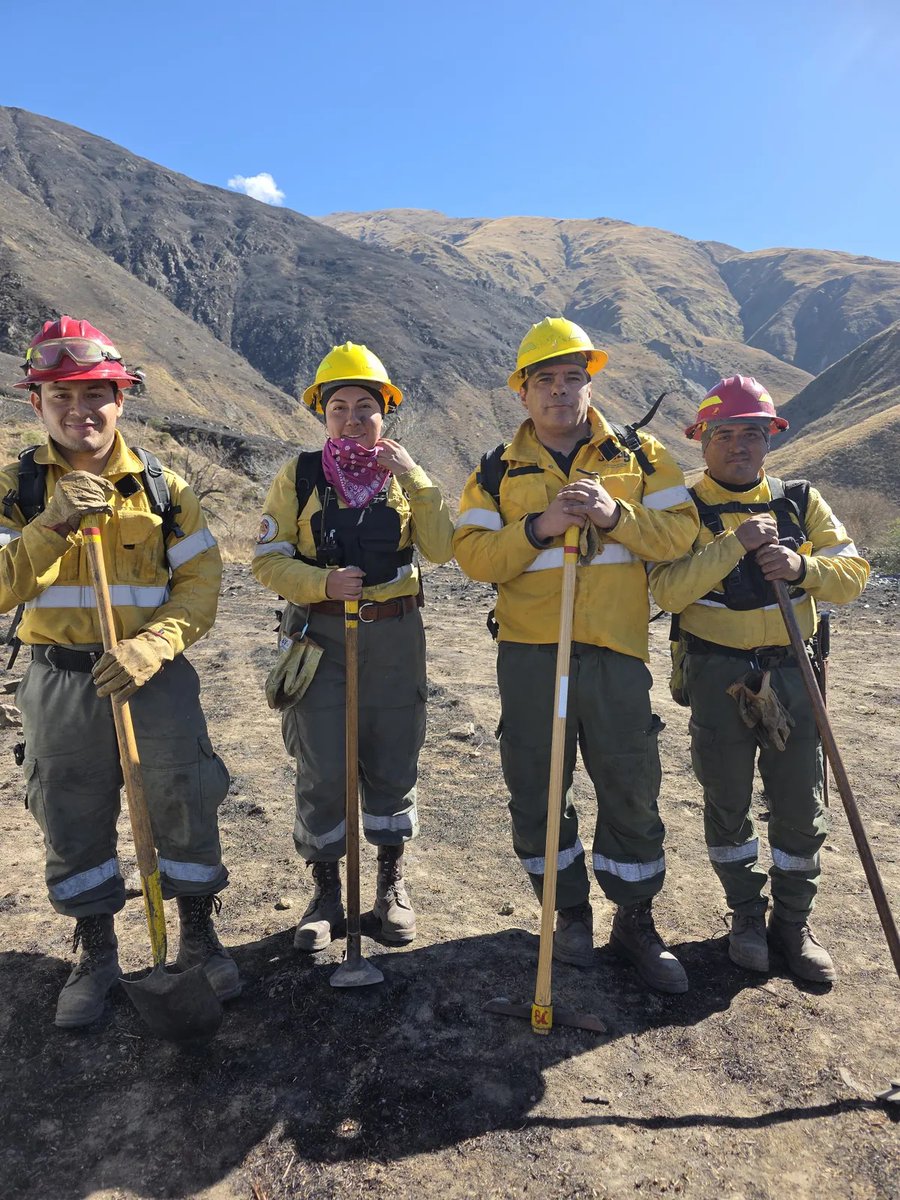 GobiernoJujuy's tweet photo. Rápido despliegue para controlar un incendio forestal en #Volcán.

https://t.co/mpAuOvyajI https://t.co/7EAVViEfJP