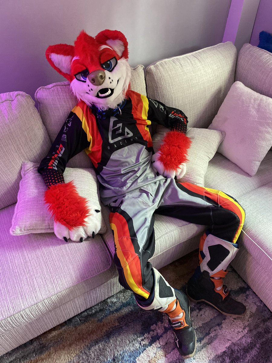 pawdoggo's tweet image. Doggin’ around tonight 😏