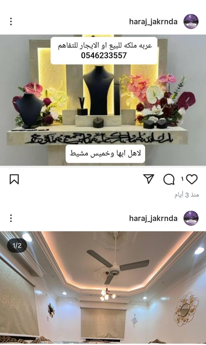 🌼 tweet media