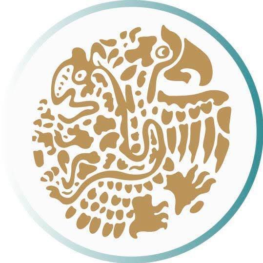 El #DiaInternacionaldelasMujeresenlaDiplomacia oportunidad para comprometernos con un piso más parejo. No caben en un tuit las mujeres #OrgulloSEM que admiro y de quienes aprendo. Un privilegio compartir con varias el cotidiano de la trinchera consular!!