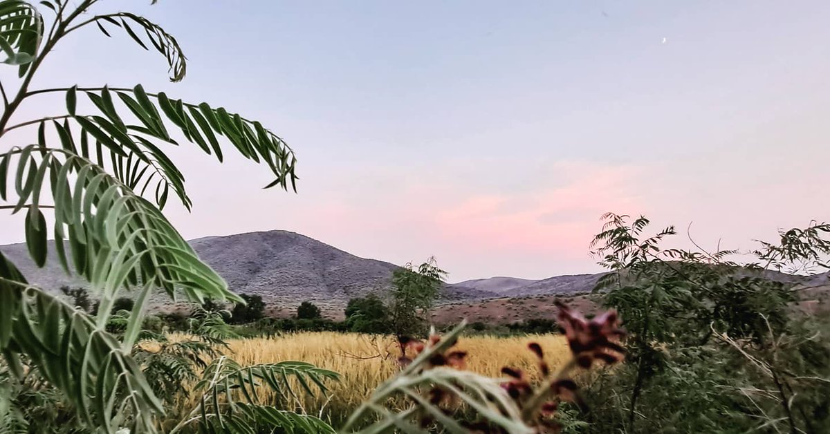 alexandra the great (@shyprinccess) on Twitter photo 