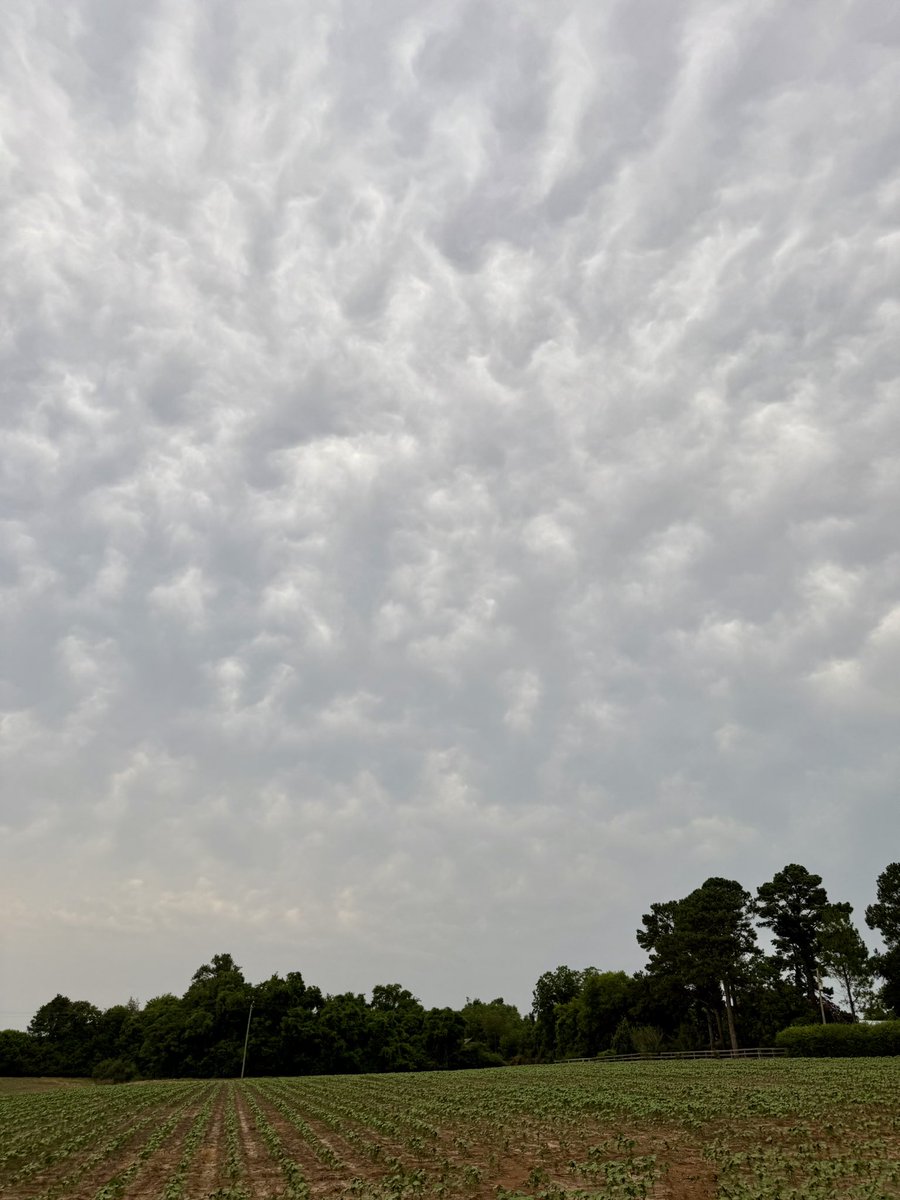 John Wienges, Jr. tweet media