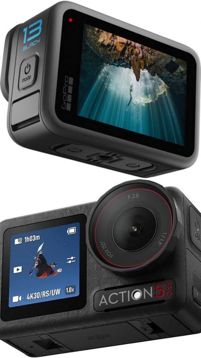 Underwater photography tweet media