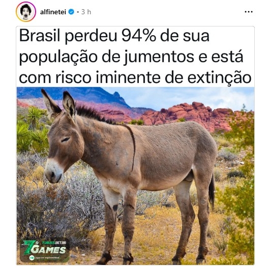 🙌🏻🇧🇷🙌🏻