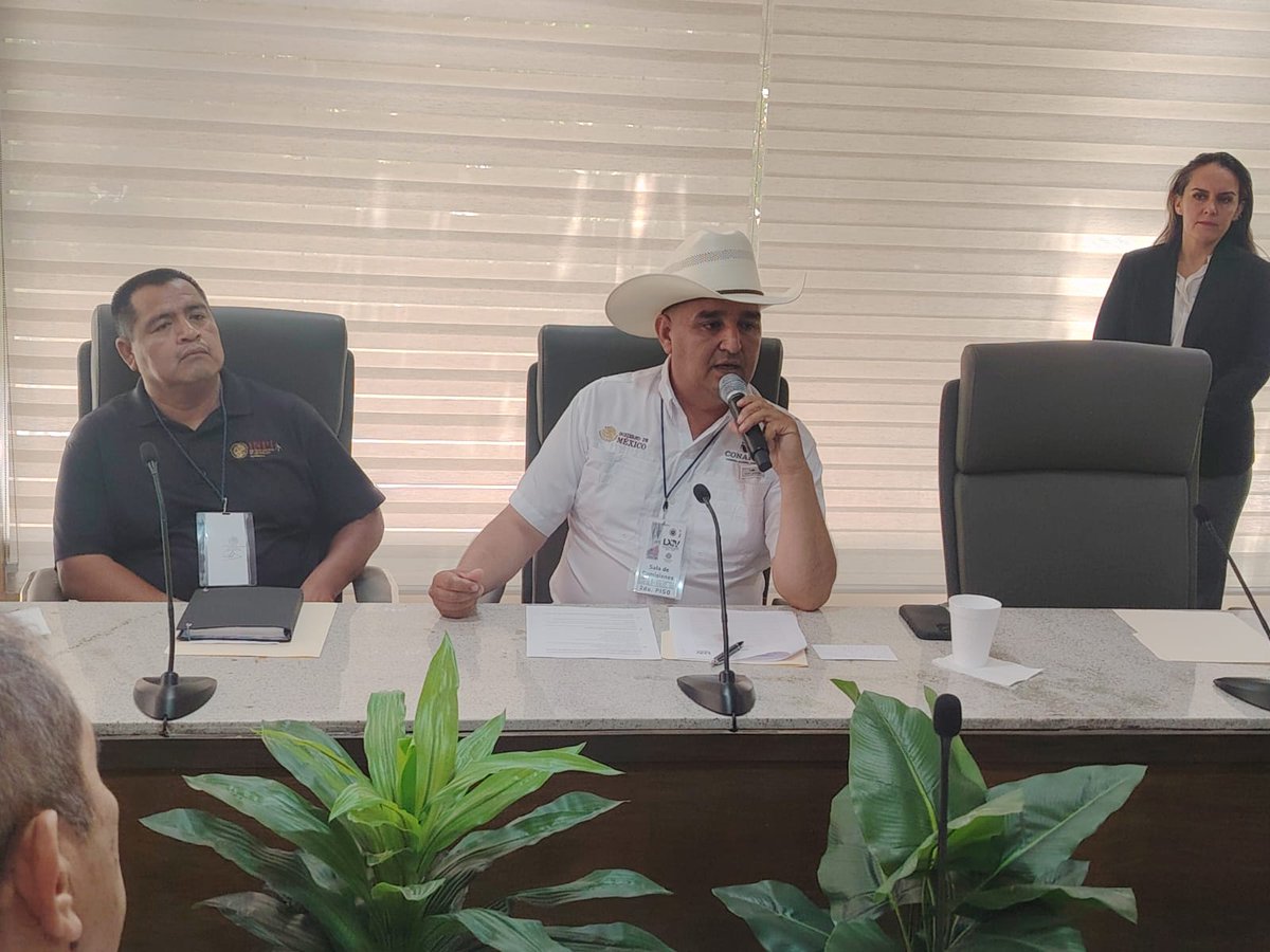 En Sonora 🏜️asistimos a una reunión interinstitucional convocada por la Comisión de Asuntos Indígenas, en el H. Congreso del Estado de Sonora. 

Dimos a conocer los apoyos 💰y servicios 🌱que maneja CONAFOR que benefician a pueblos originarios.