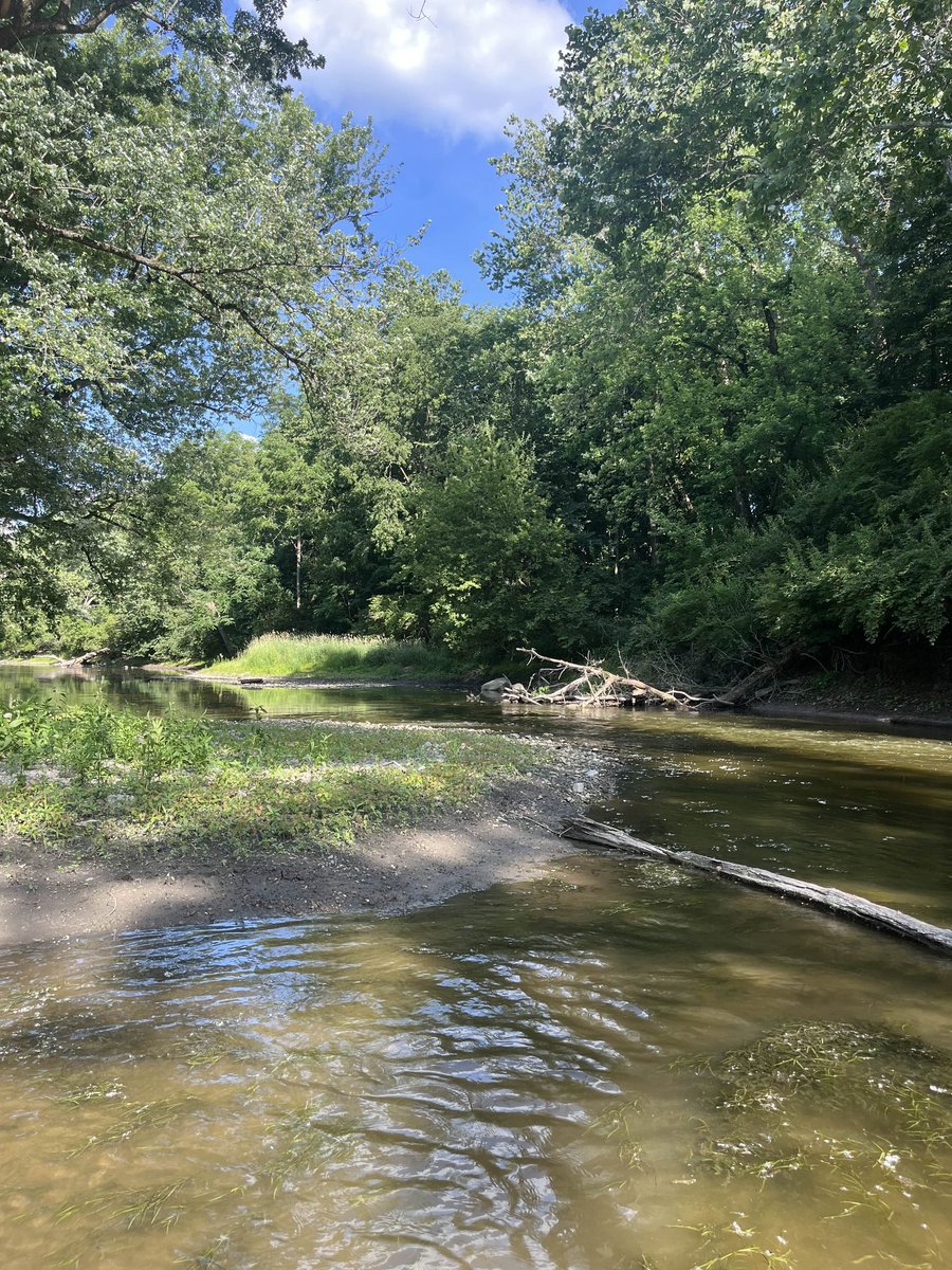 RektRaptor9's tweet photo. Unplugged from charts, plugged into peace 🌿💧
Even crypto degens need a reset.
Nature > noise.
#Web3 #NatureVibes #CryptoBreak https://t.co/JozzI86Uc1
