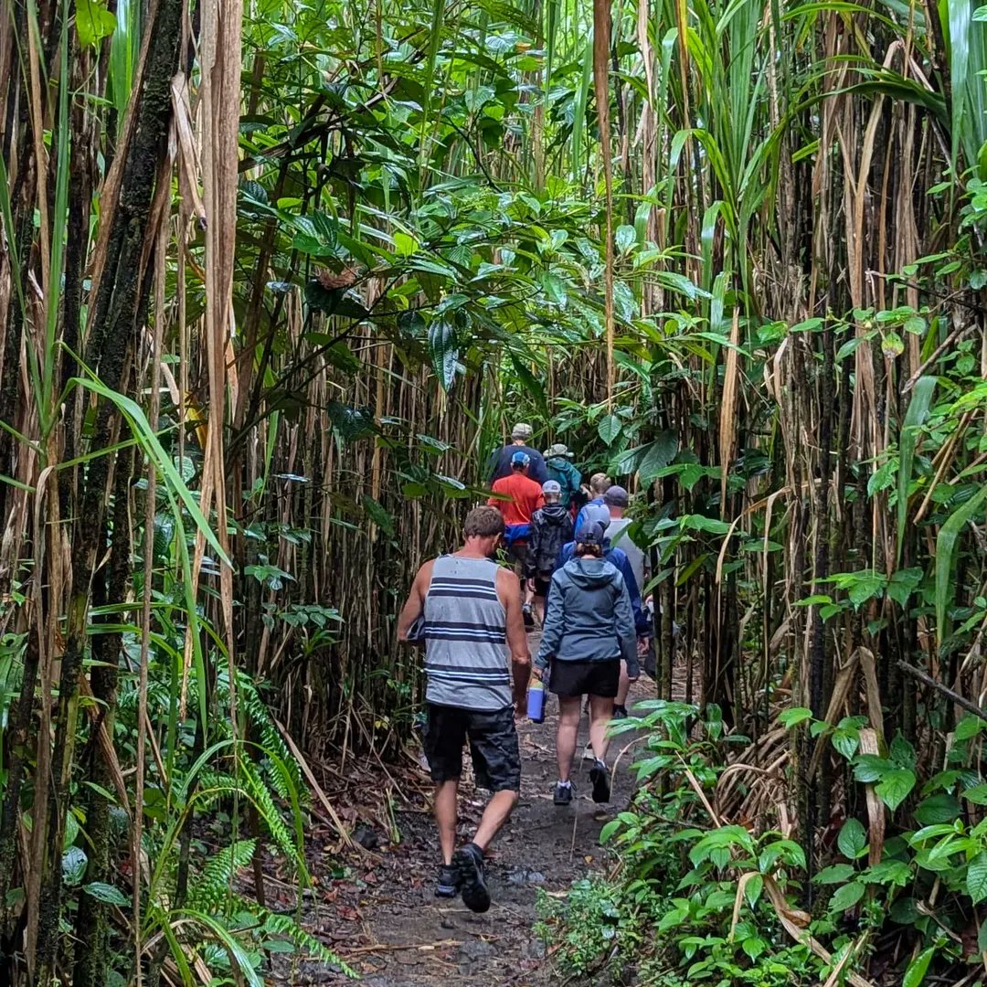 Explorica by WorldStrides tweet media