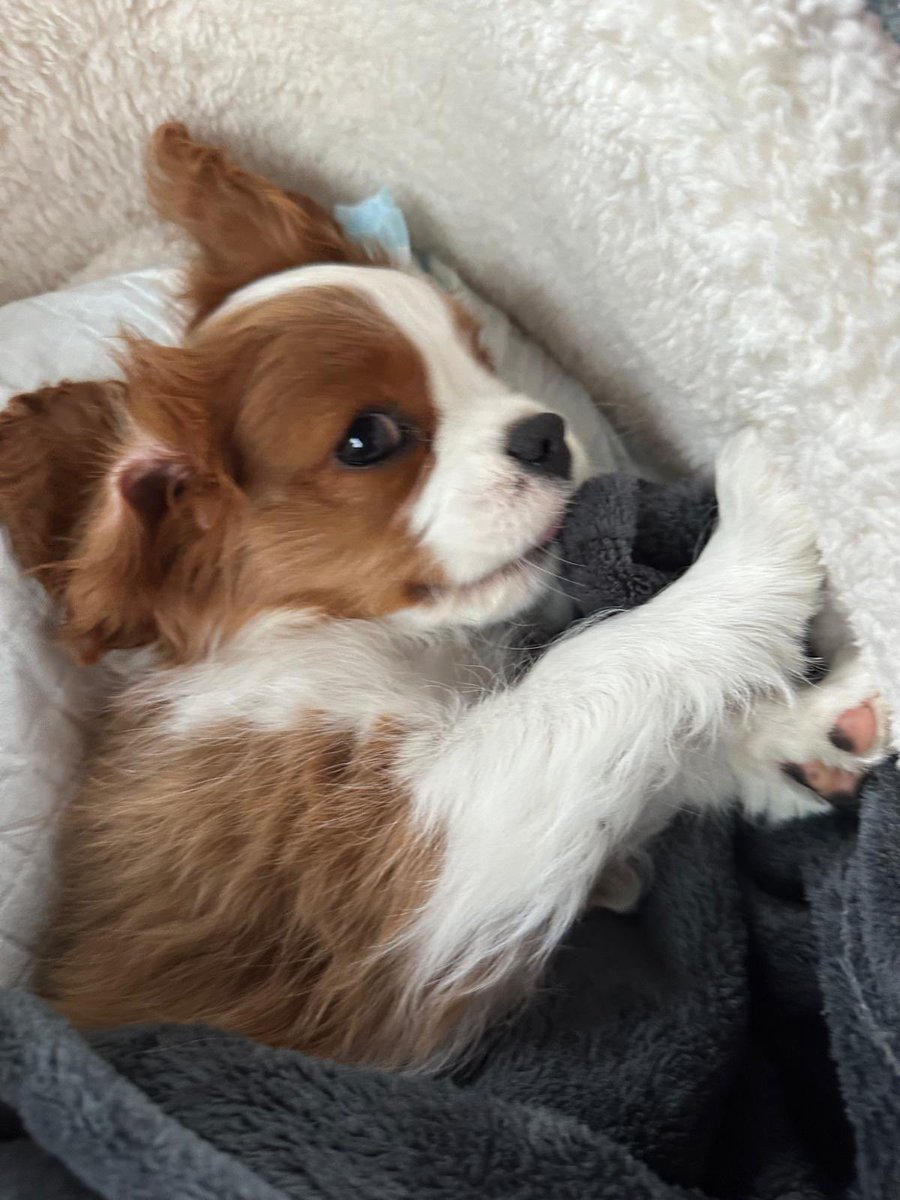 @tomroach tweet media