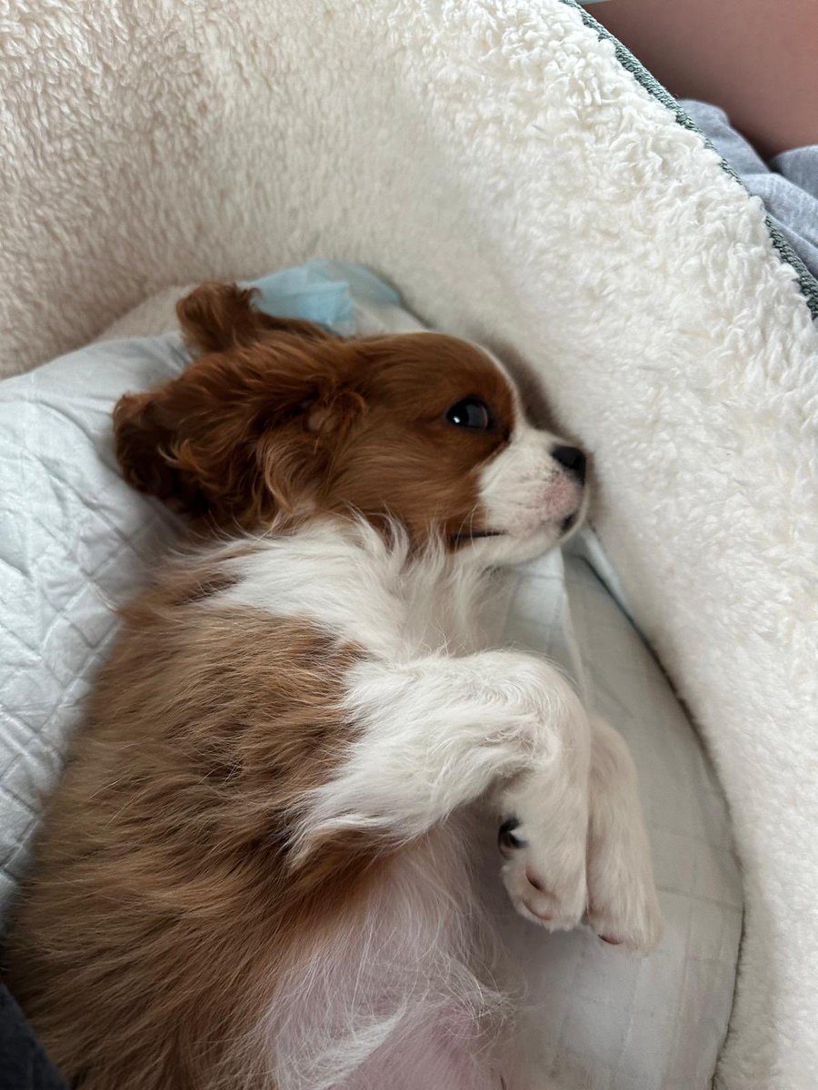 @tomroach tweet media