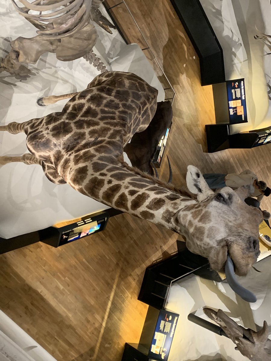 National Museum Scotland