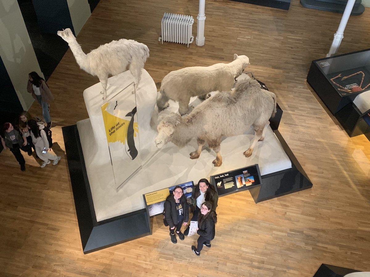 Bo'ness Science tweet media