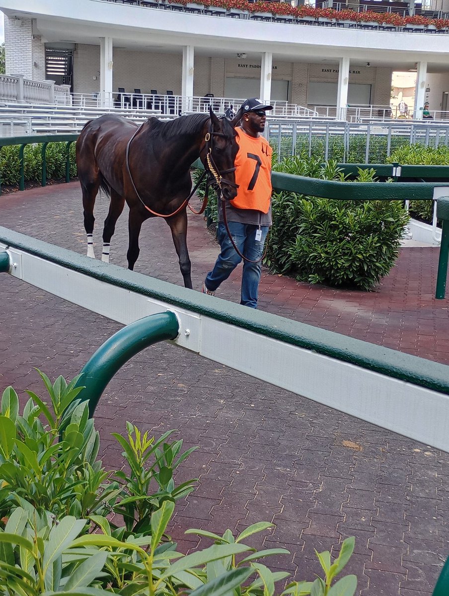 Trusty_Picks (aka Dennis Trusty) tweet media