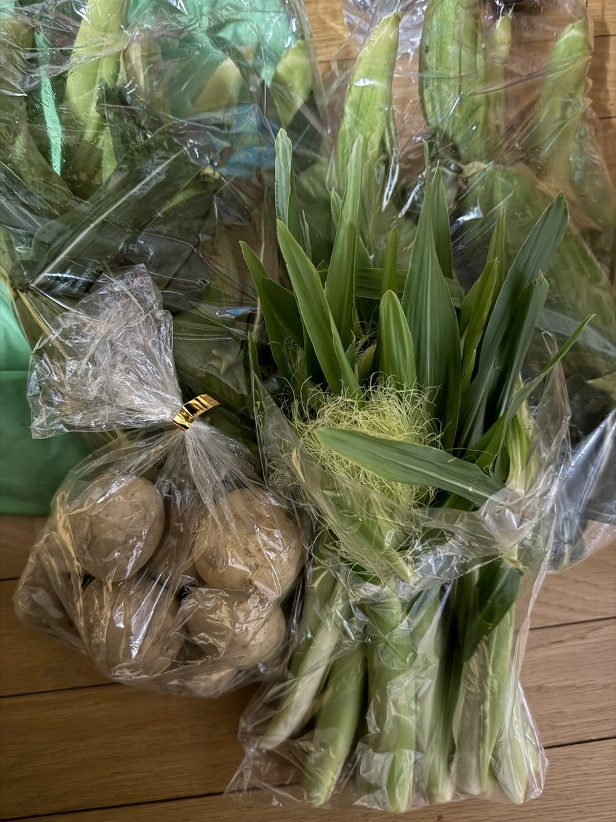 chika12340's tweet photo. 朝３時から販売してる採れたて🌽を
松浦ファームさんに買いに行って来た🤤
ヤングコーンと新じゃがもあった🫶
3年前にボルクの試合会場で知ってから
ボルクカフェでの販売に買いに行ったり
そこから通うようになった場所🥹
もう他の🌽は買えなーい🥹 https://t.co/3SW7YlgTc8