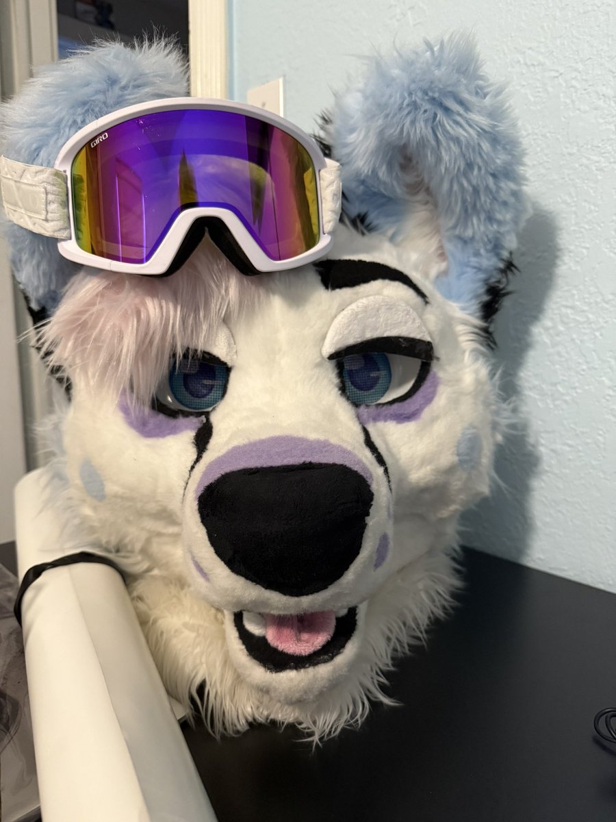 he’s so dumb I love him