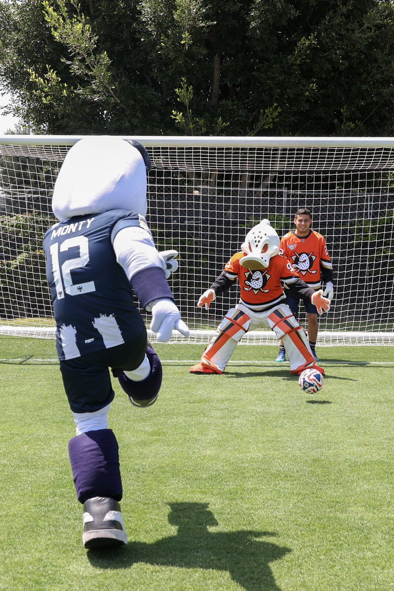 Wild Wing (@wildwingana) on Twitter photo Gracias por todo, @rayados
Got some help from their keeper, Luis Cárdenas 🤝
Shoutout to Monty 💪
<a href="/AnaheimDucks/">Anaheim Ducks</a> #FlyTogether Gracias por todo, @rayados
Got some help from their keeper, Luis Cárdenas 🤝
Shoutout to Monty 💪
<a href="/AnaheimDucks/">Anaheim Ducks</a> #FlyTogether