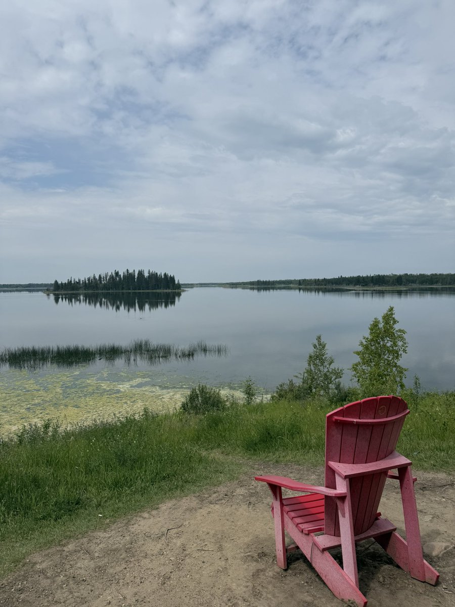 tuberides's tweet image. I think one can tell that we are in Canada. 🇨🇦