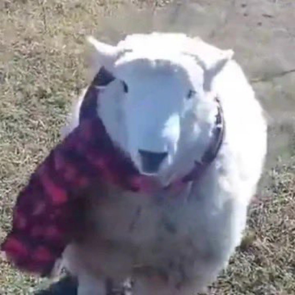 me pongo una bufanda
a quien me parezco       a quien me quiero parecer