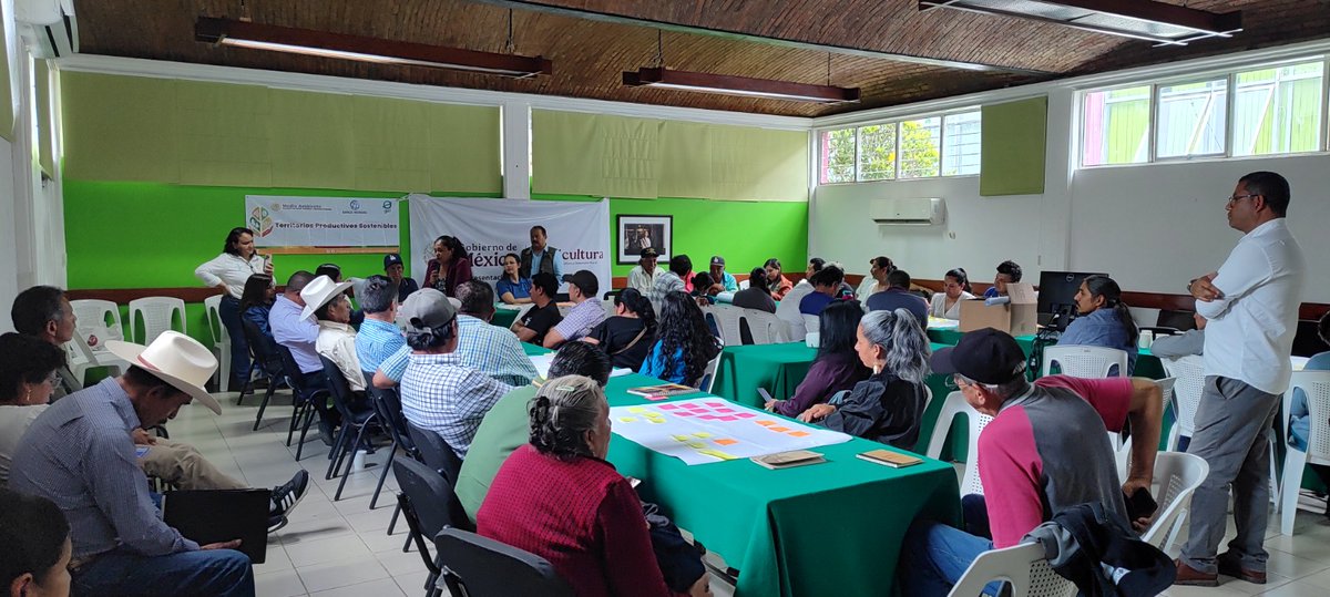 ProyectoTPSMéxico tweet media