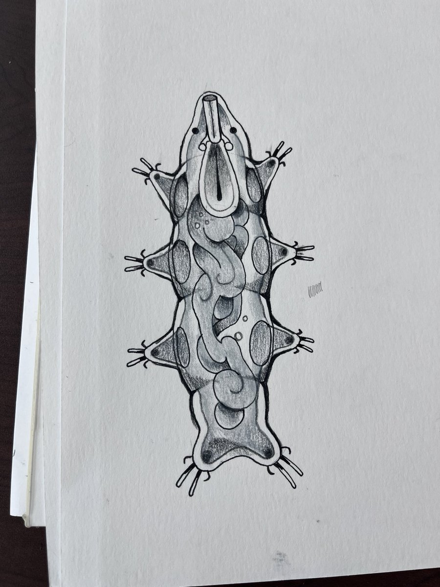 SPEBAX's tweet photo. couple more practice things https://t.co/u0kvbTUnLx