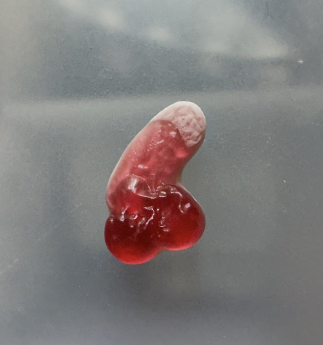 Excuse me Mr Haribo, an adults-only sweet seems to have slipped into my bag of Star Mix… #hariboner <a href="/HariboUKI_/">HARIBO UK & IRELAND</a>