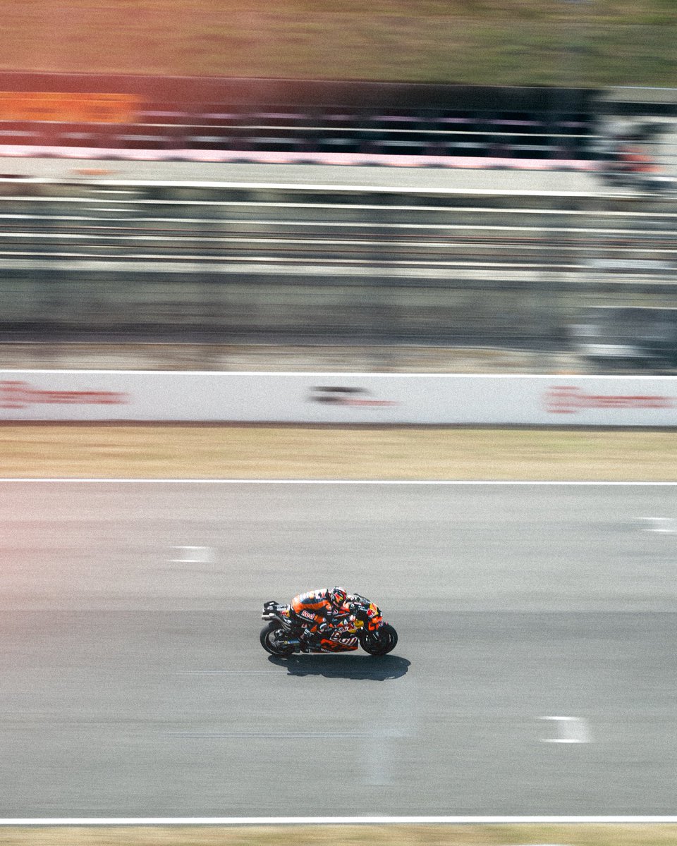 thomaquevic tweet media