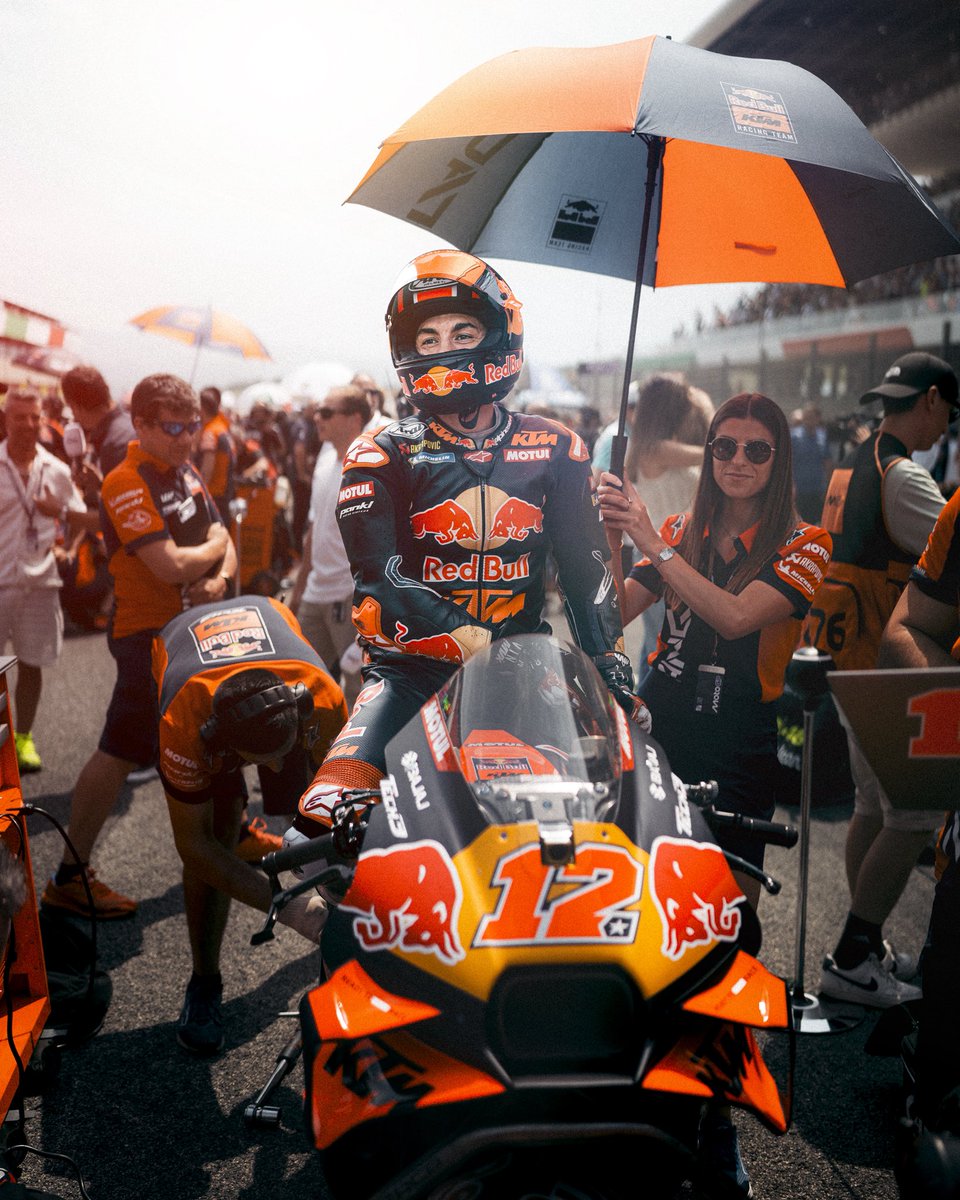 thomaquevic tweet media