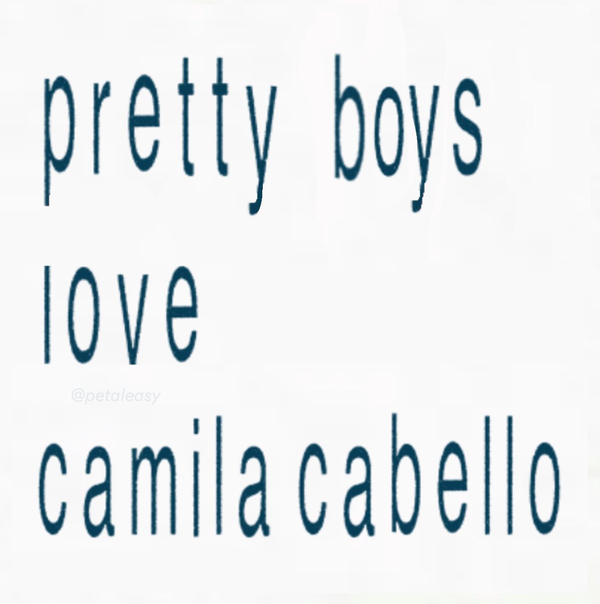 ZanHanson's tweet photo. I love Camila so much!!! ❤️

@Camila_Cabello @CamilaAccess https://t.co/OxiDIuftkM