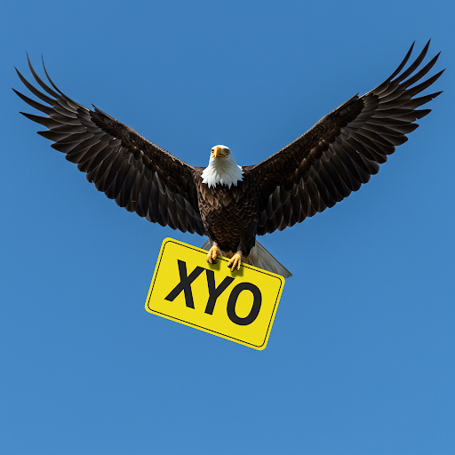$Xyo #Xyo to the future!