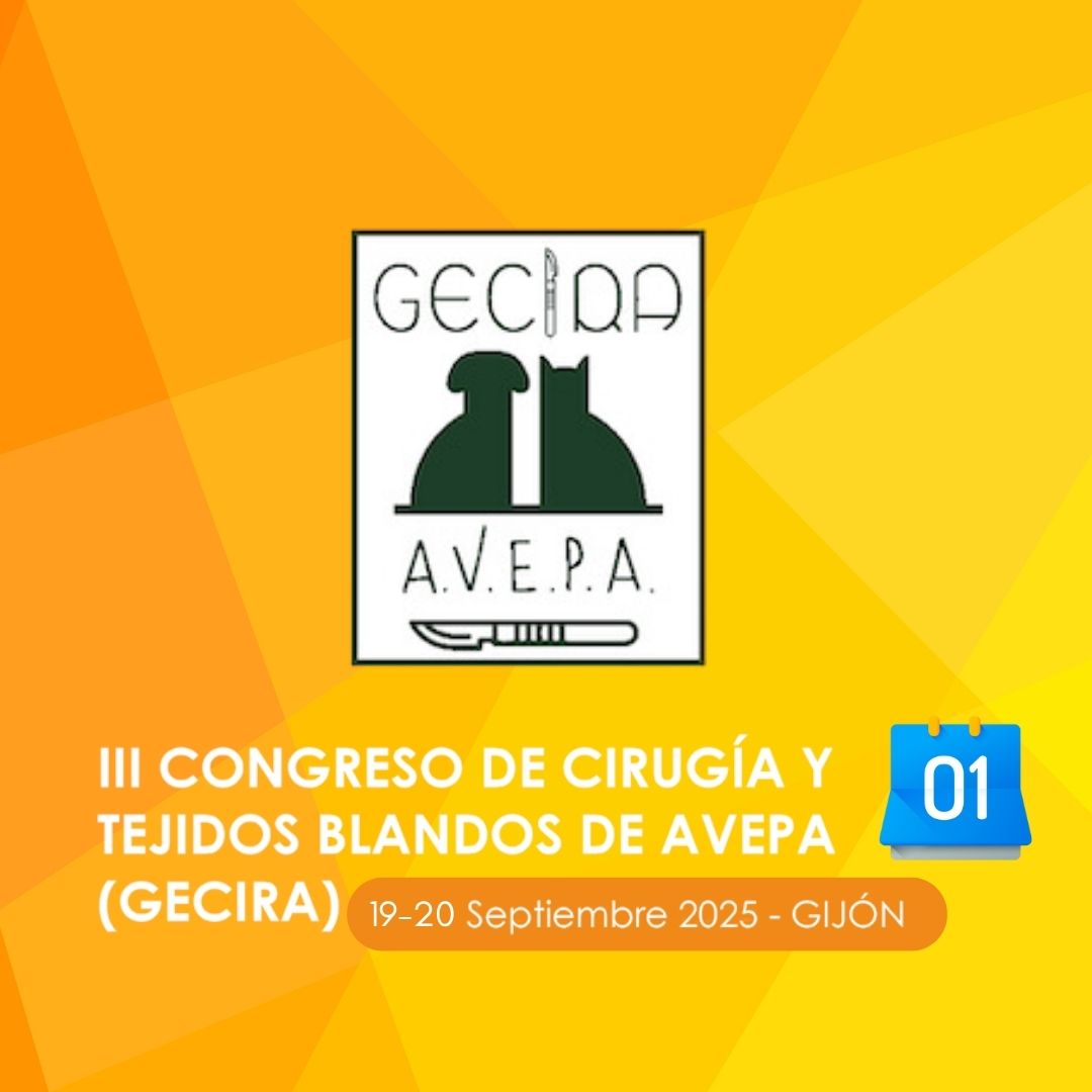 ¿Trabajas en #cirugíaveterinaria? 
Llega el III #CongresoGECIRA de #Cirugía y #TejidosBlandos  con foco en #urgenciasquirúrgicas. Ponentes top, casos reales, networking y formación acreditada.
+ info e inscripciones en avepa.org/congreso-gecir…
#GECIRA #Veterinaria