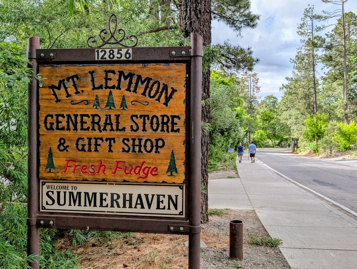 Our quiet Wednesday morning walk on Mt Lemmon, Arizona away from the crowds brings out surprises.🏔️