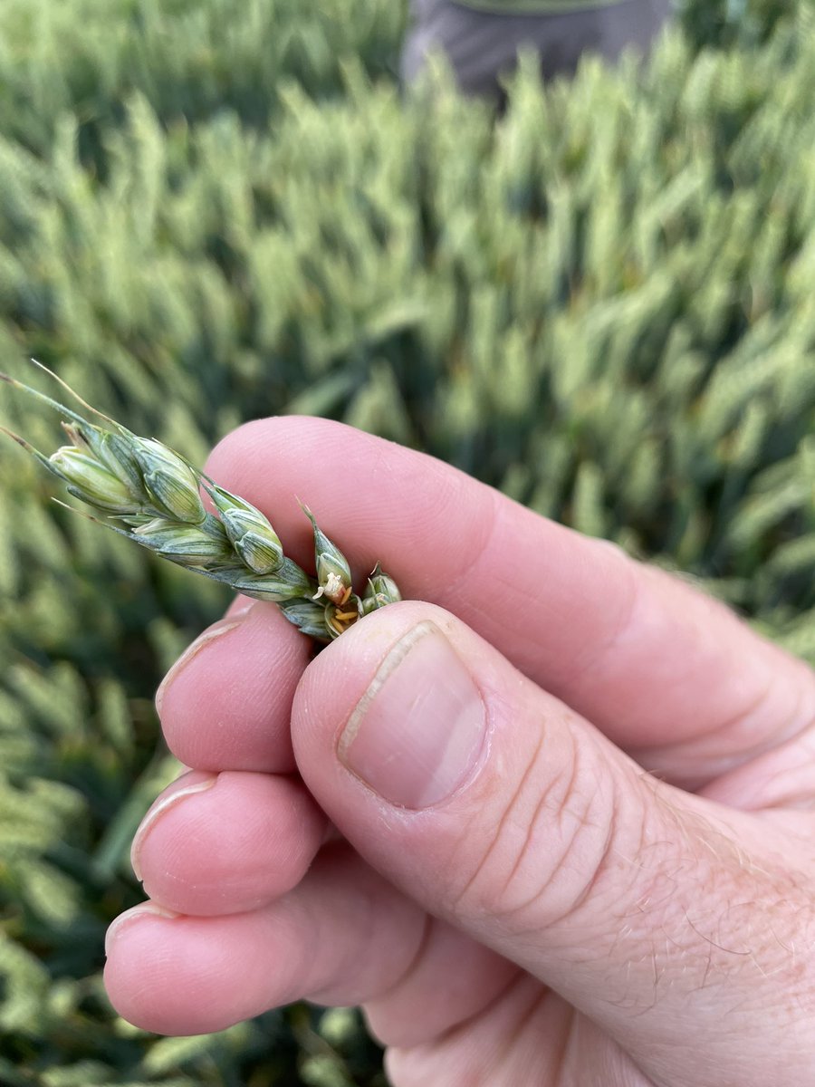 John Dunne tweet media