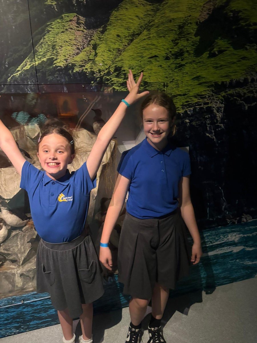 A wonderful day for our Year 4 children at the ThinkTank Museum exploring the work they have been learning in Science about the heart #curiosity