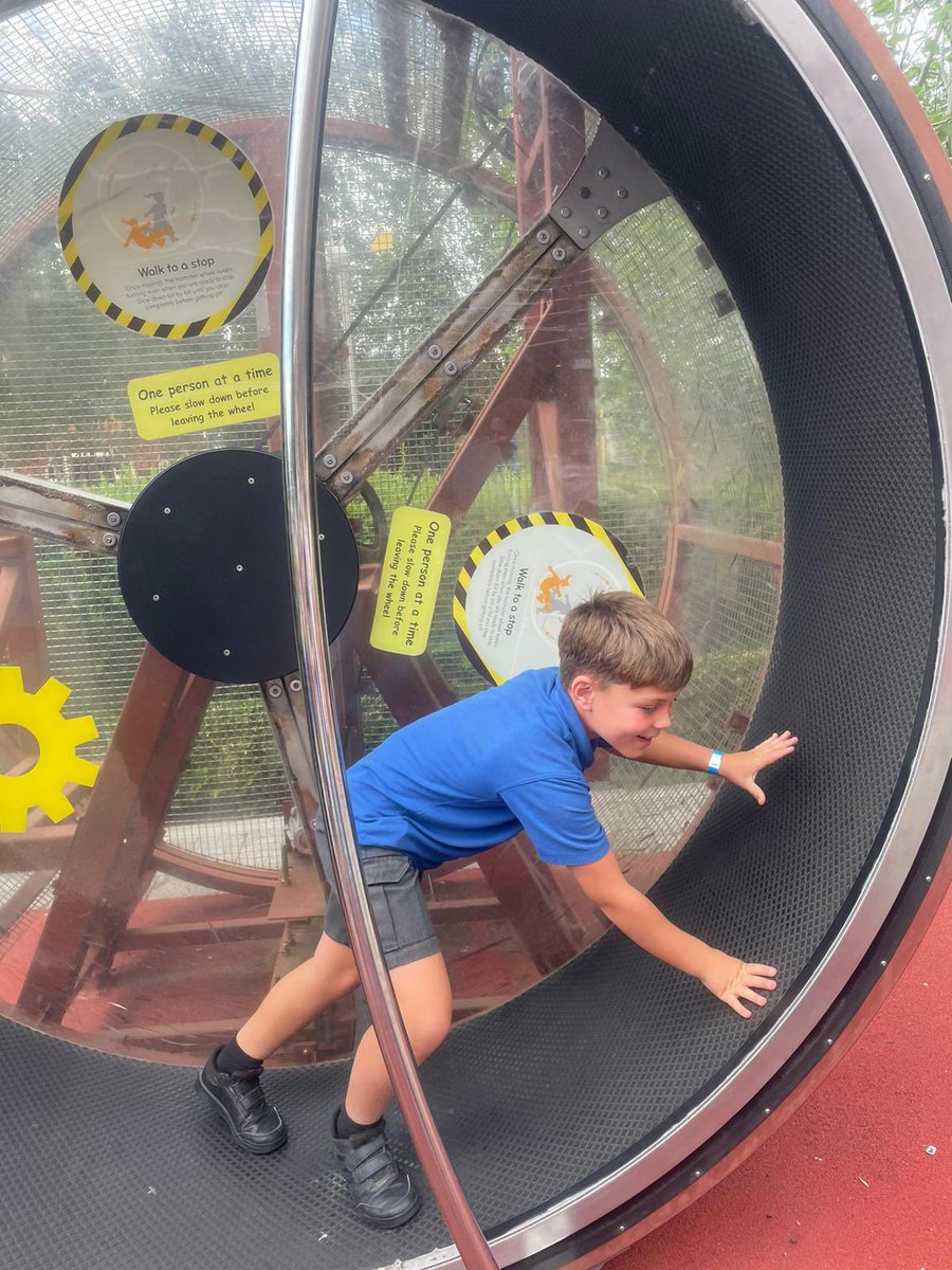 A wonderful day for our Year 4 children at the ThinkTank Museum exploring the work they have been learning in Science about the heart #curiosity
