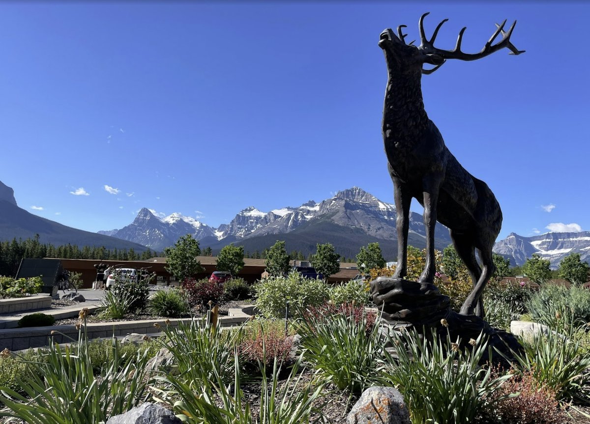 Stay with us on the #IcefieldsParkway Sundays - Thursdays and save! Book July's Midweek Madness special for a one-night stay in a Queen Standard room for ONLY $299 per night (plus taxes) for up to two people!
 
#BestValue in #BanffNationalPark July 1-17!
thecrossingresort.com/features/july-…