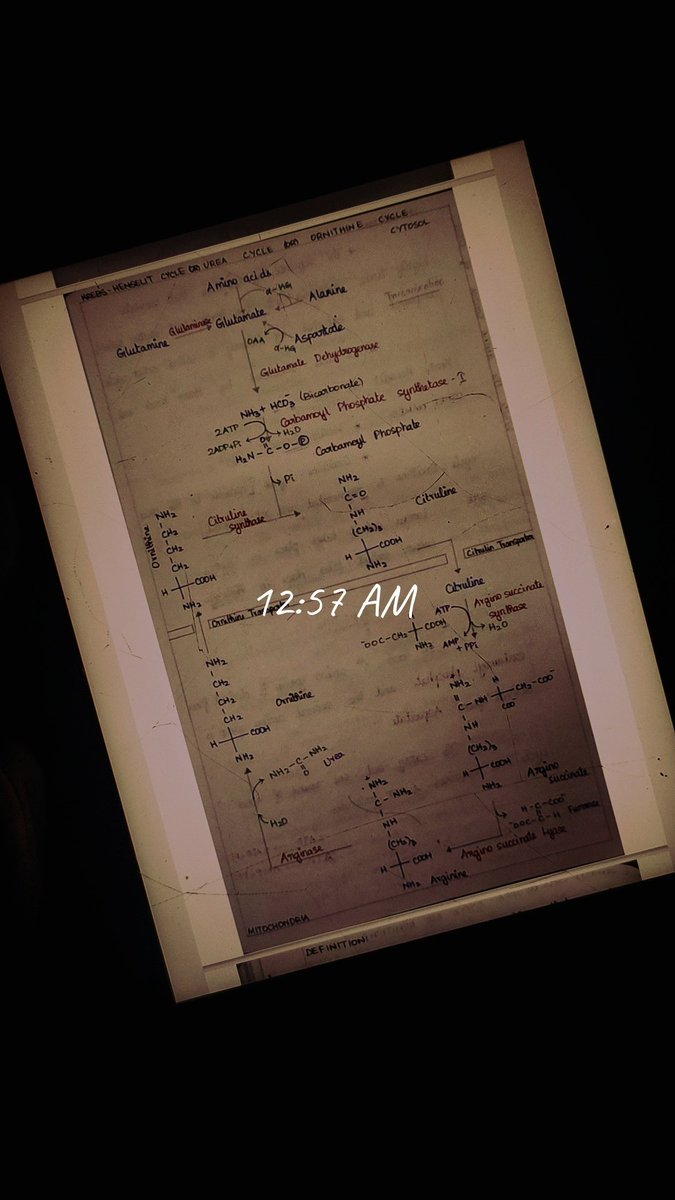 Shade09_'s tweet photo. A Life Update Tweet after a very long time! Sem 2 exams starting Tom! It's either Cook or Gawk starting with Biochemistry! (P.S. That's a OC Drink btw) https://t.co/I4Krld9W3w
