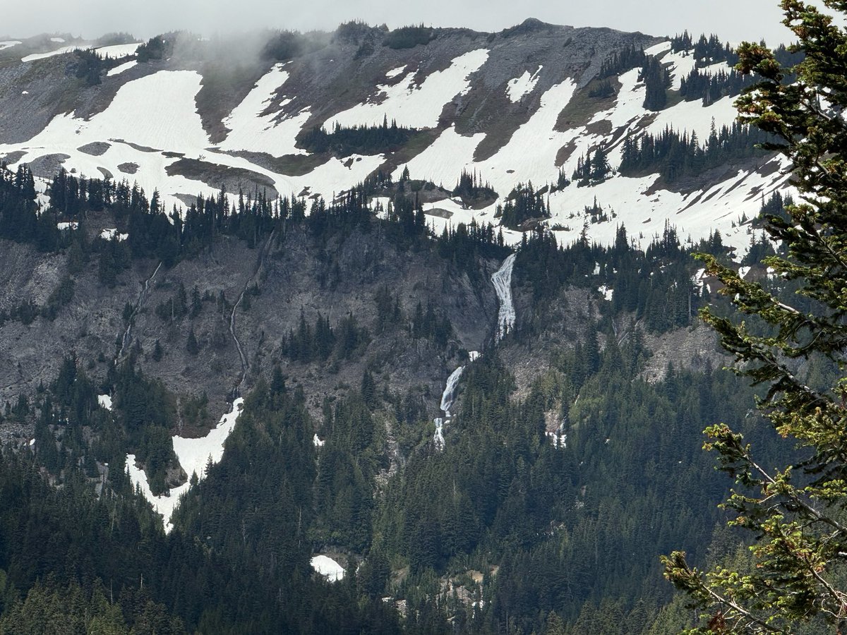 vvveetv's tweet photo. rich bc I saw the Pacific Northwest with my own eyes 🌲 https://t.co/4aVVuA1kMa