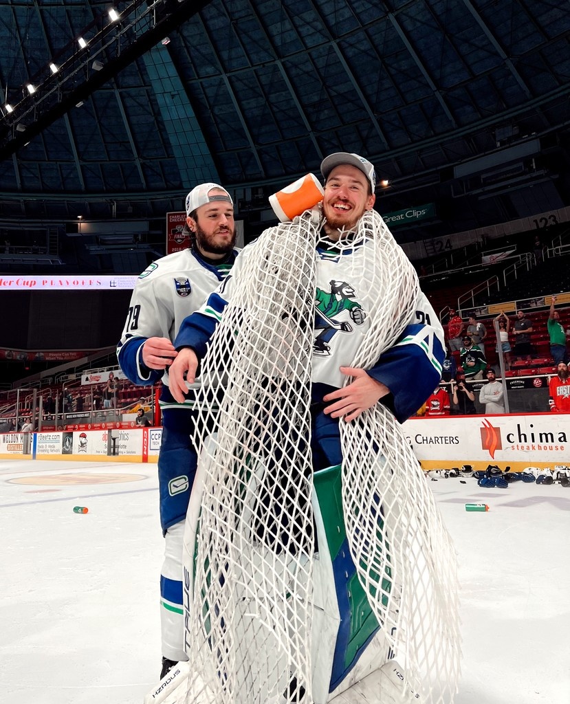 THE NET BELONGS TO ARTŪRS ŠILOVS🤝