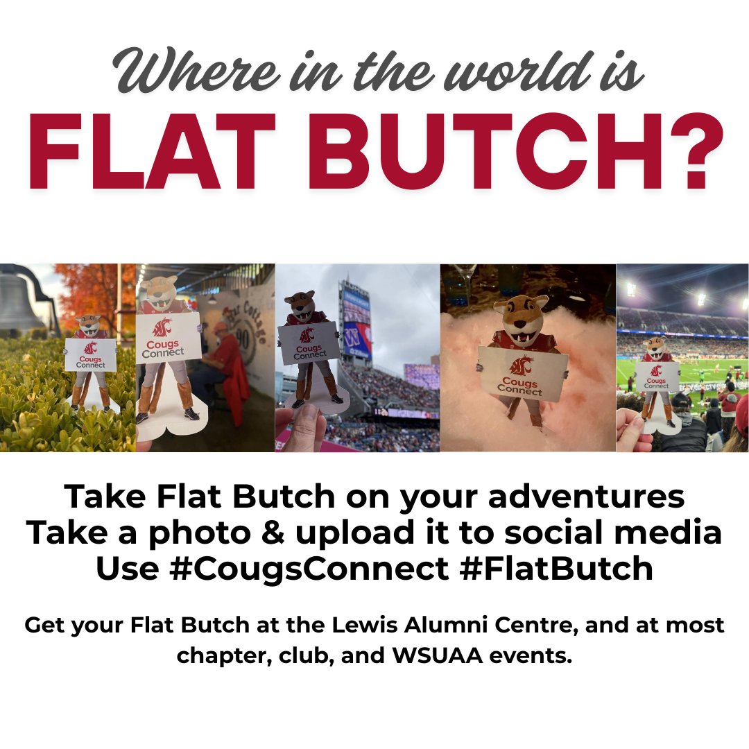 WSUAlumAssoc's tweet image. Ready for a summer of fun and connection? Bring Flat Butch along when you travel, post your photos, and then head to Cougs Connect to share your journey — find mentors, discover job leads, or join a local Coug group. #FlatButch meets real-world networking. Go Cougs!