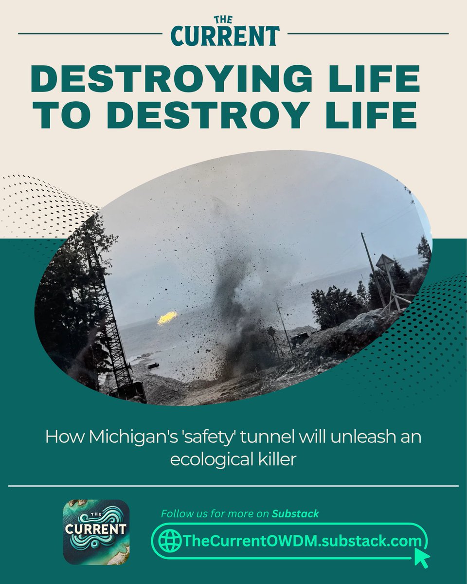 New from The Current - learn how the Line 5 oil tunnel will impact plant and animal life in this week's post. 

Read here: f.mtr.cool/atibtticdp

#ShutDownLine5